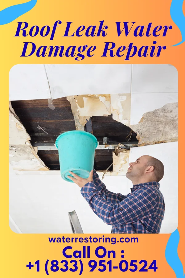 Roof Leak Water Damage Repair in South Toms River, NJ