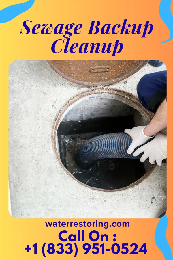 Sewage Backup Cleanup in South Toms River, NJ
