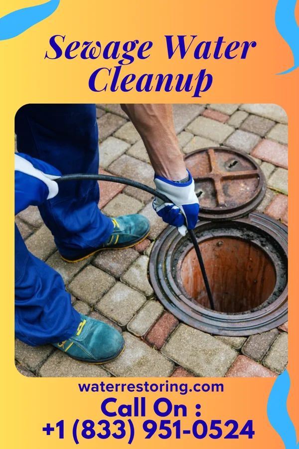 Sewage Water Cleanup in South Toms River, NJ